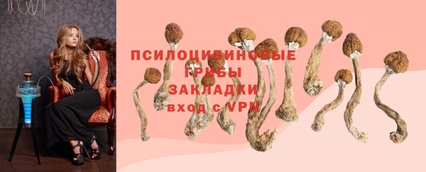 мяу мяу мука Армянск