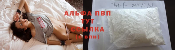 мяу мяу мука Арсеньев
