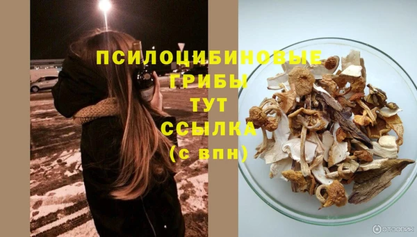 мяу мяу мука Арсеньев