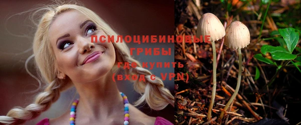 эйфоретик Аркадак