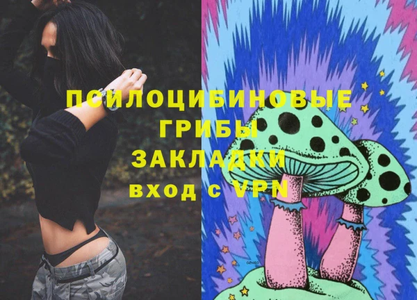 эйфоретик Аркадак