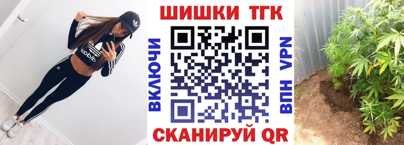 дарк нет наркотические препараты  Суоярви  Шишки марихуана THC 21% 